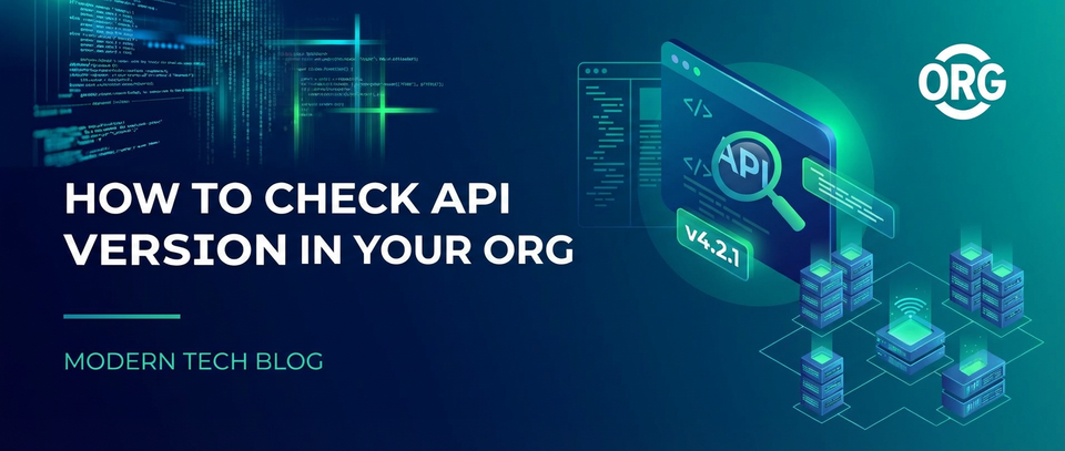 How to Check API Version in Your Org